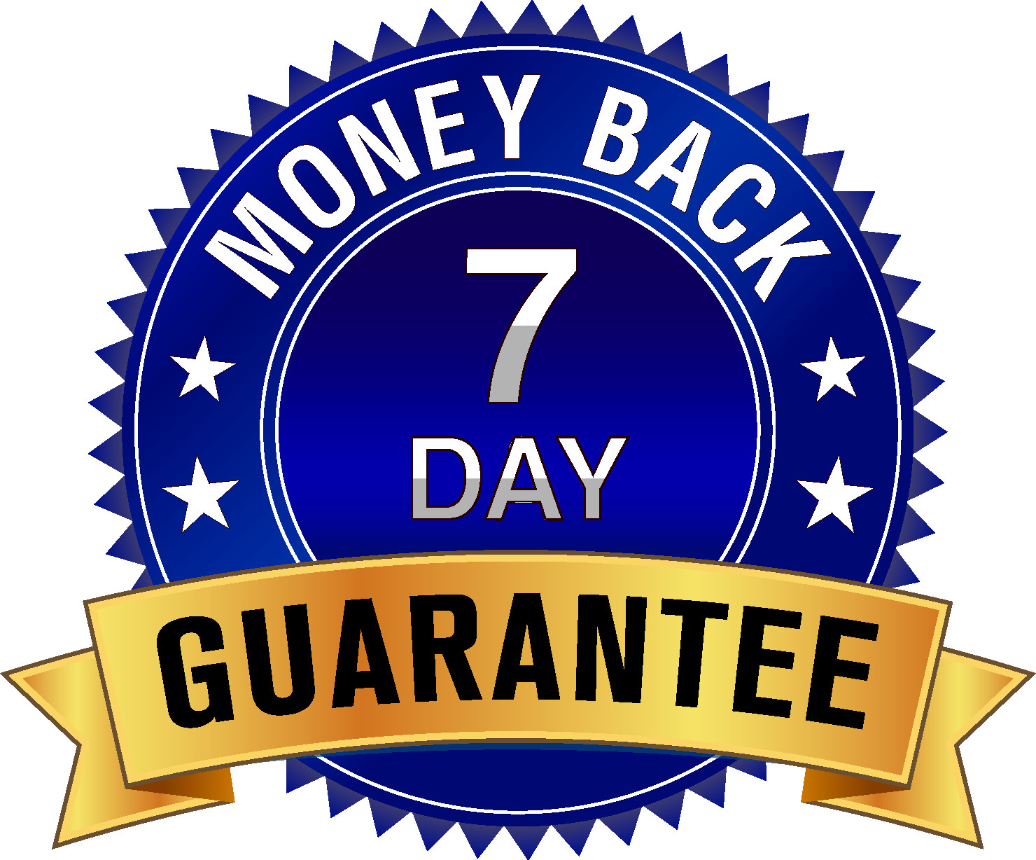 Flash Sale: 13 Months Professional USA Web Hosting-Buy Now before price goes up