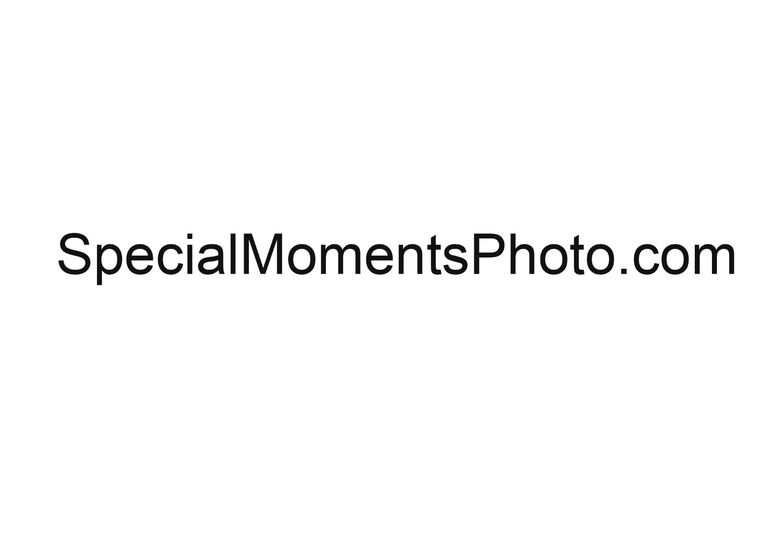 SpecialMomentsPhoto.com URL Website