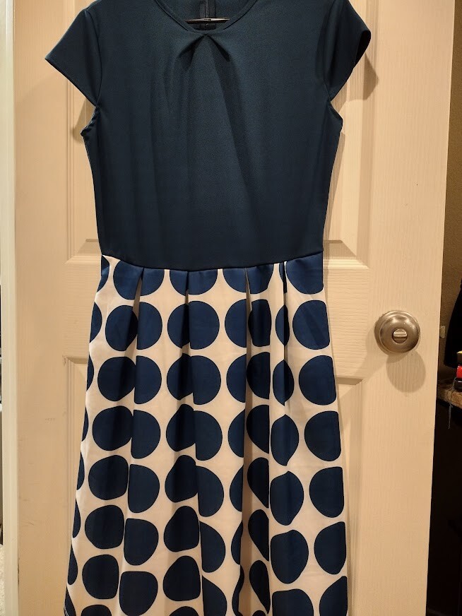 POLKADOT VINTAGE A LINE DRESS – SPRING – CASUAL – SIZE L – BLUE & WHITE