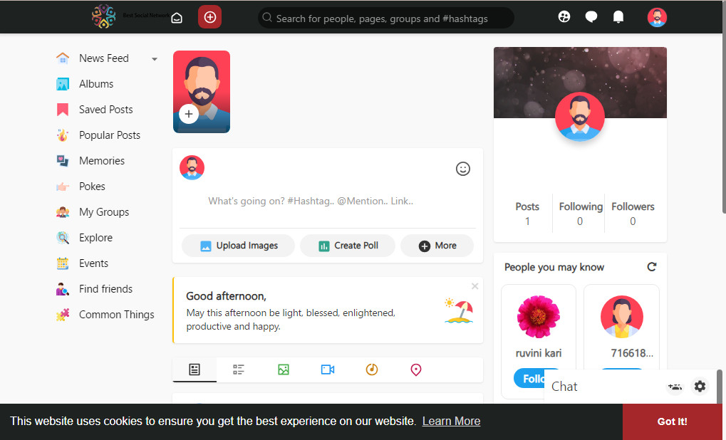 Online Social Network Responsive Website Free Hosting / Setup