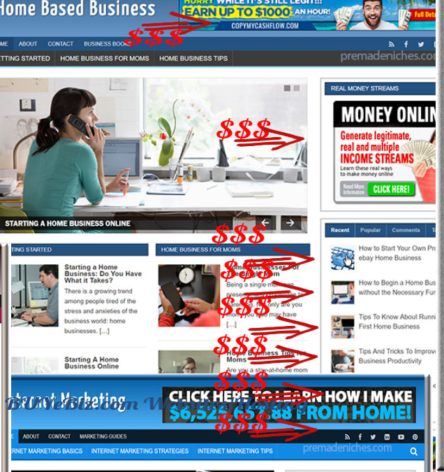 Ready Made Home Business Blog Turnkey Niche Website w/Reseller Hosting Package 2