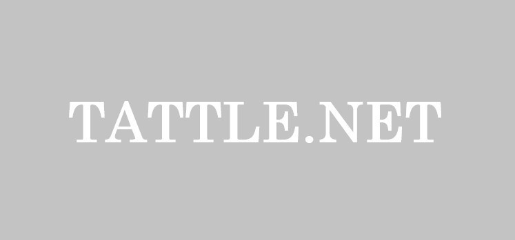 Tattle.net Premium Domain Name For Sale