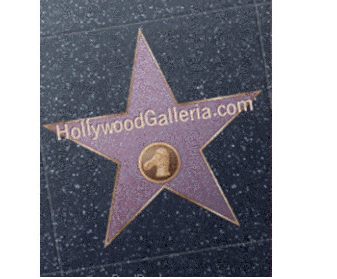 HollywoodGalleria.com Domain Name For Sale