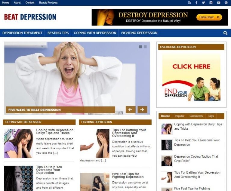 Beat Depression Ready Made Blog Turnkey Niche Website Business for Sale