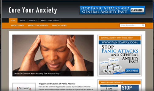 🥇 Turnkey Anxiety Niche Blog Website