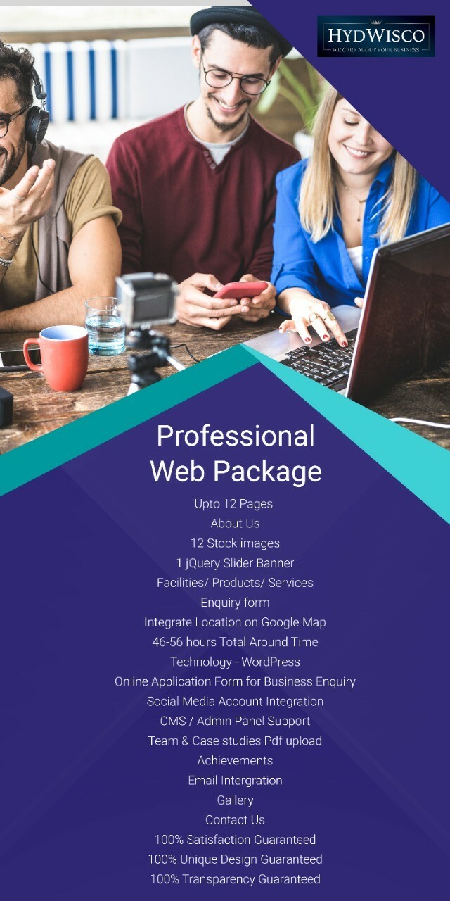Professional Custom Website from HydWisco Digital!