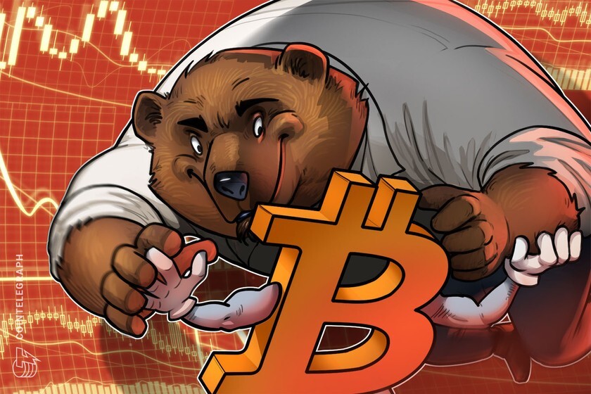 Crypto Bitcoin News Learning Turnkey Website & Domain For Sale