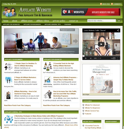 Affiliate Marketing Ready Made Blog for Easy Use Niche Website Business For Sale