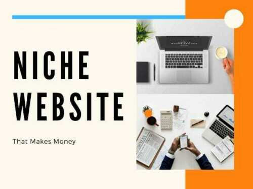Ready Made Government Grants Pre Made Blog Turnkey Niche Website Business For Sa