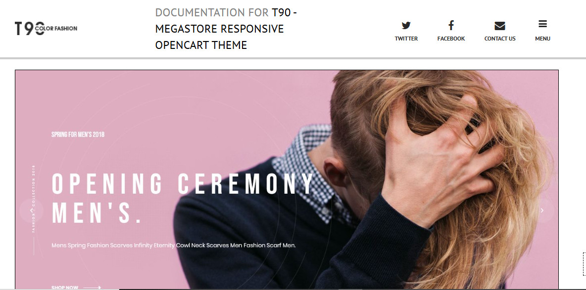 Premium Open Cart 100 Responsive Themes Templates Full Sites Stores Complete