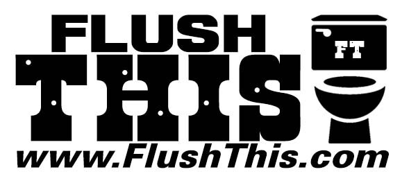 FLUSH THIS Domain name BUSINESS great for plumbing plumbers toilet kohler servic